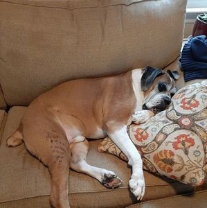 Meet your Posher, Bryan